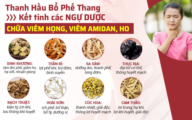 Một số thành phần ngự dược có trong bài thuốc Thanh hầu bổ phế thang