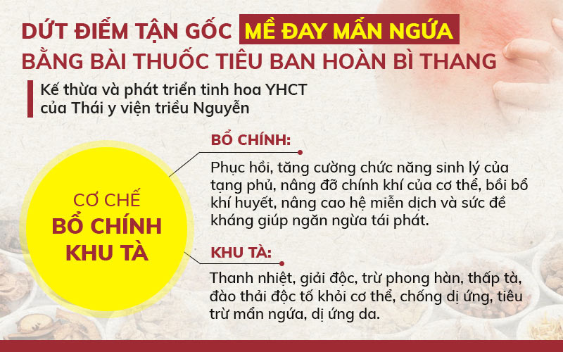 Tiêu ban hoàn bì thang điều trị mề đay theo cơ chế bổ chính - khu tà