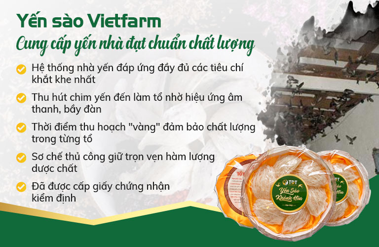 Hệ thống nhà yến đảm bảo các tiêu chuẩn khắt khe nhất