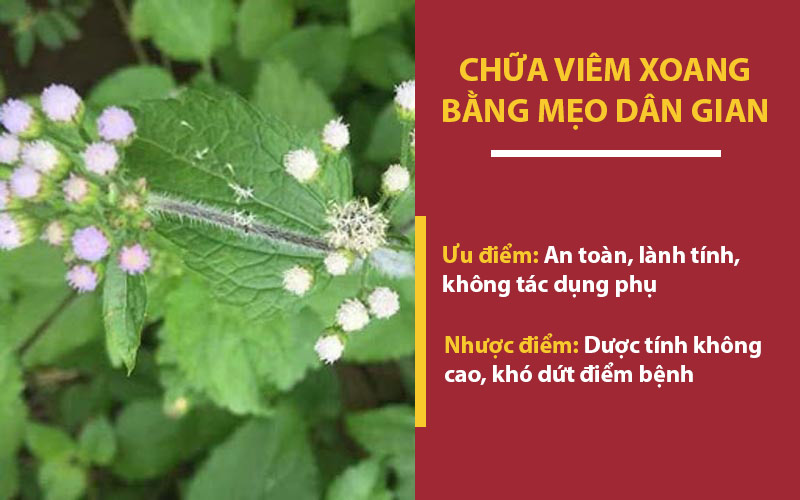 Chữa viêm xoang bằng mẹo dân gian