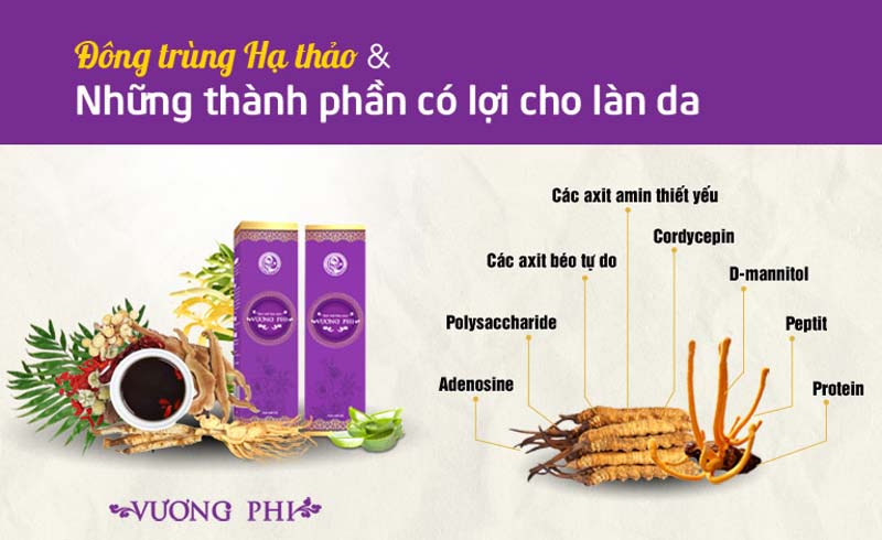 Thảo dược đông trùng hạ thảo có khả năng kích thích sản sinh collagen