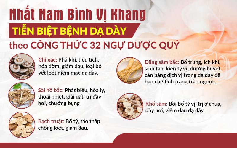 Nhất Nam Bình Vị Khang hội tụ nhiều thảo dược quý với công dụng vượt trội