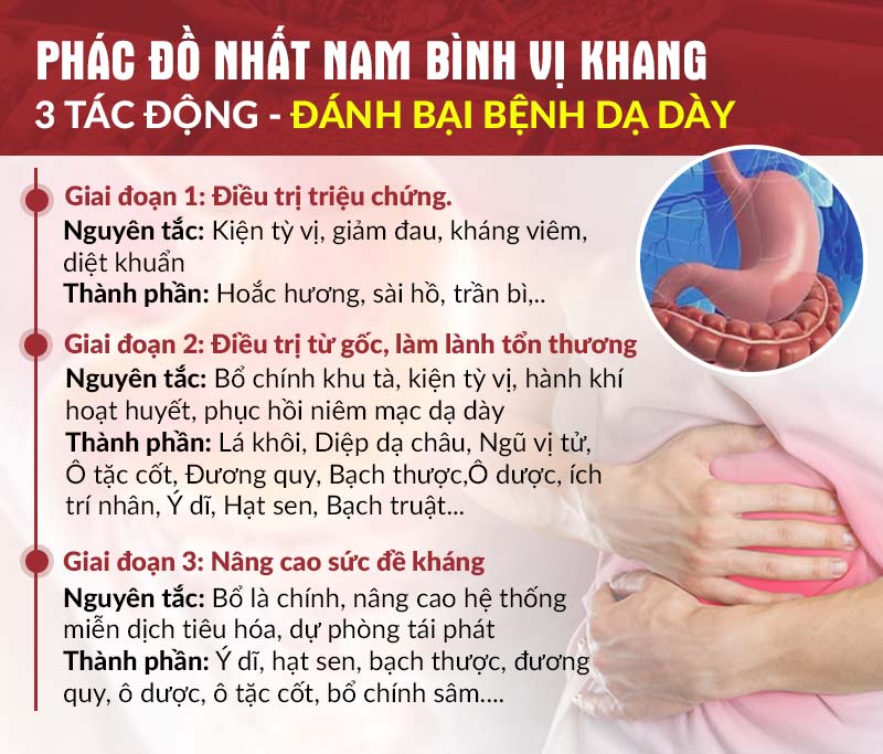 Phác đồ 3 tác động của bài thuốc Nhất Nam Bình Vị Khang