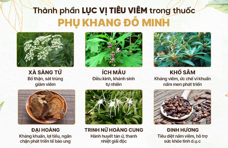 Thành phần lục vị tiêu viêm bài thuốc Phụ Khang Đỗ Minh