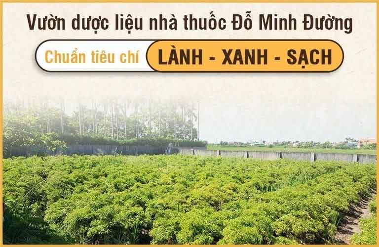 Vườn dược liệu Đỗ Minh Đường ở các tỉnh Hòa Bình, Hưng Yên và Hà Nội