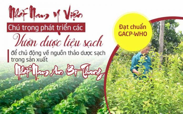 Nhất Nam An Bì Thang - Giải pháp hoàn hảo cho người bệnh tổ đỉa