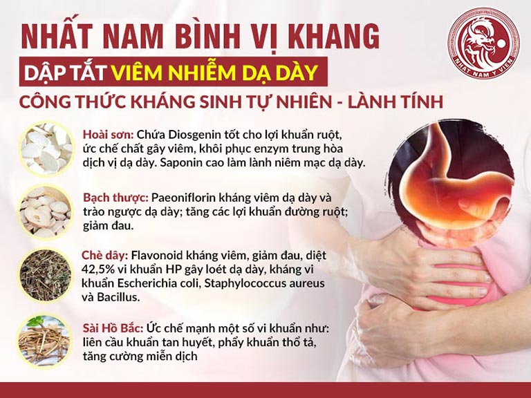 Thảo dược chứa thành phần kháng sinh thực vật của Nhất Nam Bình Vị Khang