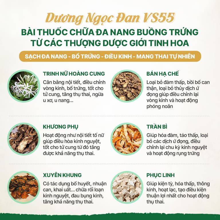 Tháng thuốc VS55 sử dụng 100% dược liệu sạch, đạt chuẩn GACP - WHO